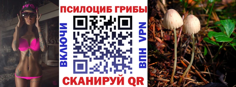 Псилоцибиновые грибы ЛСД  Ессентукская 
